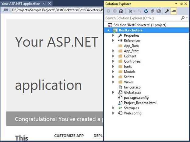 Asp.Net Application